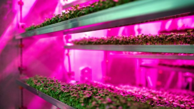 Вертикалното земеделие ли е бъдещето?