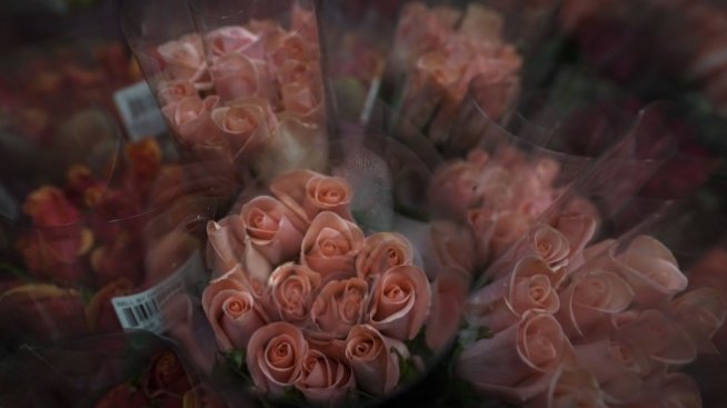 За икономическата привлекателност на алтернативните светове