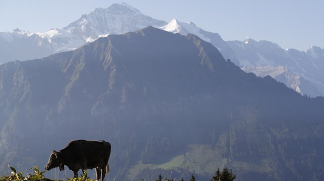Тръмп принуждава Швейцария да подложи на съмнение любовта си към фермерите