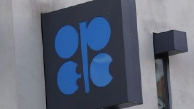 ОПЕК намали прогнозата си за търсенето на петрол през 2020 г. 