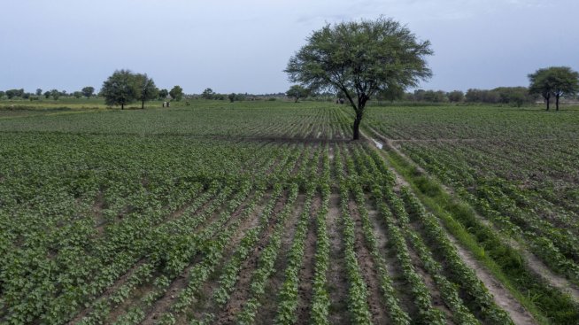 Агротуризмът разведрява перспективите пред дребните фермери в Албания