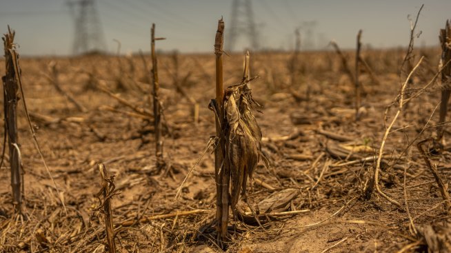 Светът постепенно губи земята, от която се нуждае, за да се изхранва