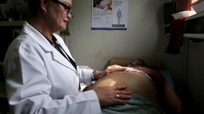 Създаването на ваксина срещу вируса Зика може да отнеме месеци