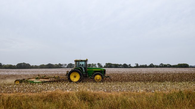 Франция се готви за най-лошата реколта пшеница от 1983 г. насам