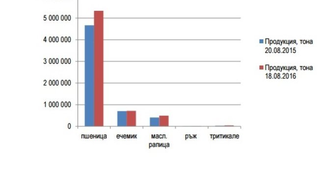 Българските фермери ожънаха с 14% повече пшеница спрямо миналата година