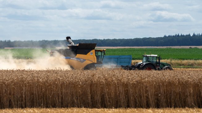 Продължават леките колебания при цените на зърнените култури