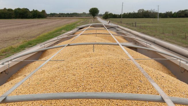 Китай ще отложи правилата за редкоземните елементи и ще възобнови покупките на соя от САЩ