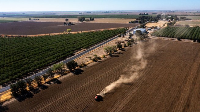 „Елана ФЗЗ“ е договорило с близо 5% по-голяма средна рента за стопанската 2025/2026 г.