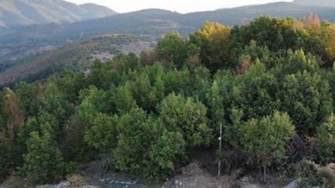 Превръщат ли се Родопите в любима туристическа дестинация?