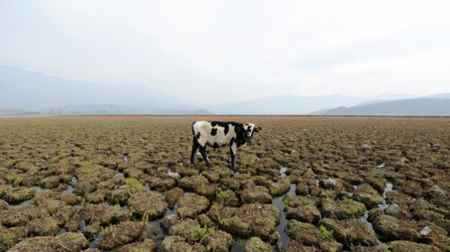 ООН: Емисиите на парникови газове достигат рекордни нива през 2018 г.
