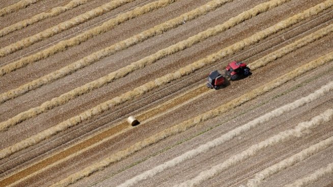 Хр. Бозуков: Не бива да се допуска "екзит" от Общата селскостопанска политика