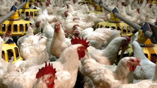 "Градус" увеличава продажбите за деветмесечието, но ръстът на разходите свива печалбата с над 90%