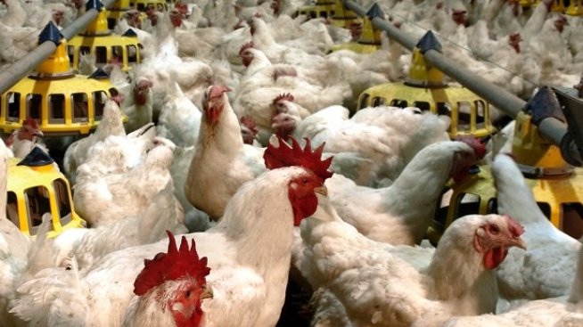 "Градус" увеличи с 9% продажбите на вътрешния пазар