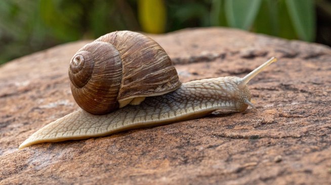 Защо забогатяваме толкова бавно?