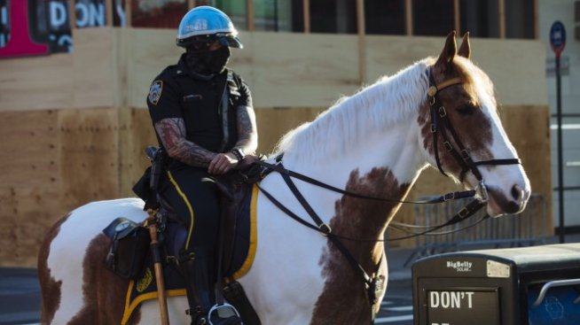 Полицейският расизъм в САЩ не е епидемия