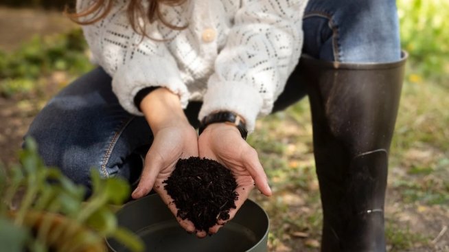 Може ли гражданската наука да реши климатични промени