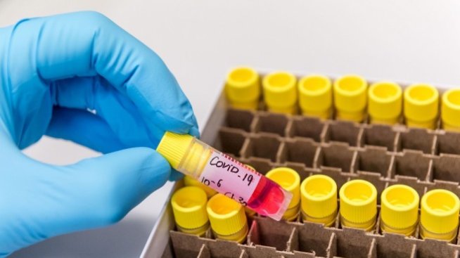 Как коронавирусът промени научната работа в света?