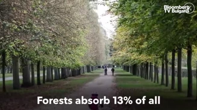 Версай и промените в климата