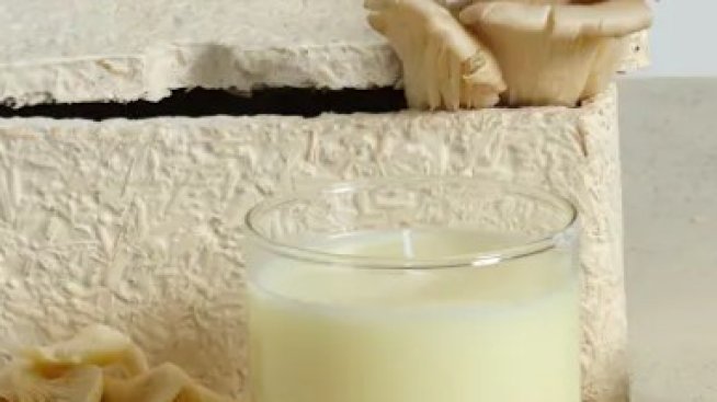 Б. Стоянов: С подходяща цена опаковките от гъбен мицел ще заменят на 100% полистирена