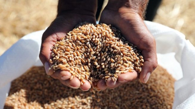 Няма кой да превози зърното от украинските пристанища