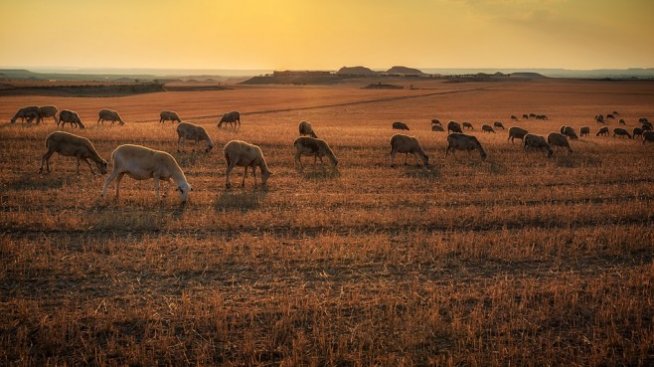 Парламентарната земеделска комисия променя експресно закона за земите