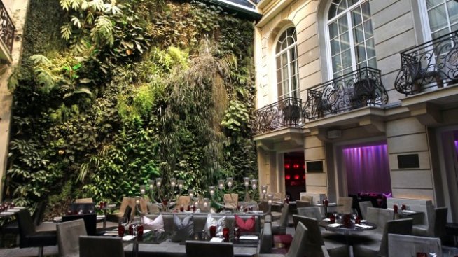 Нови паркове може да се правят по стени и покриви