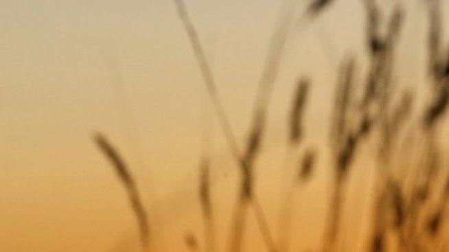 Летим ли наистина евтино с нискобюджетните авиокомпании?