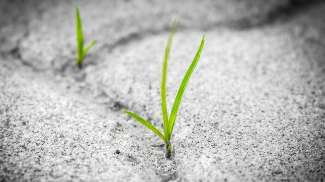 Изглежда, че криптозимата приключи