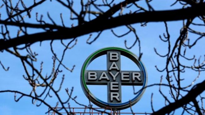 Bayer затяга коланите