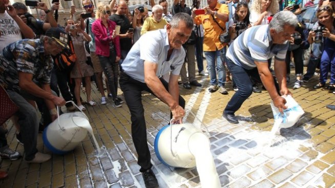 Отлага се планираната за днес евтаназия на животни заради чумата