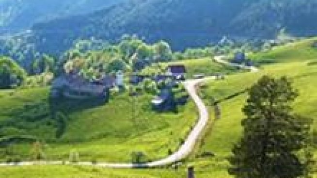 Необичайни летни атракции в Сърбия