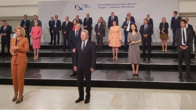 Пари по лозаро-винарски програми може да подпомогнат производители на винено грозде