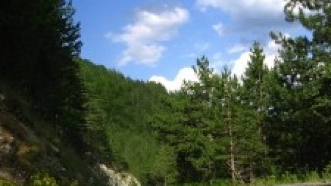 До 5 години може да се изгради скоростният път Русе-Свиленград