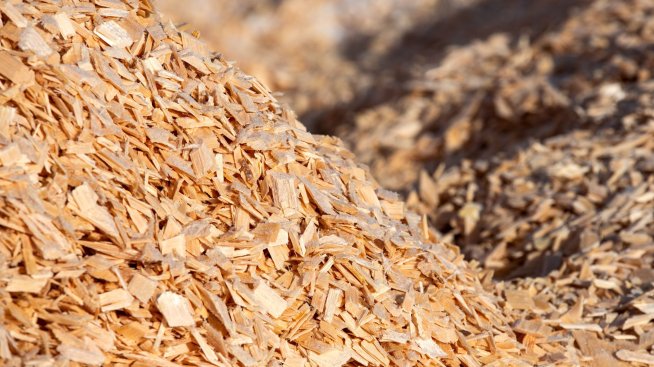 Следващото поколение чипове за електромобили може да са от дърво