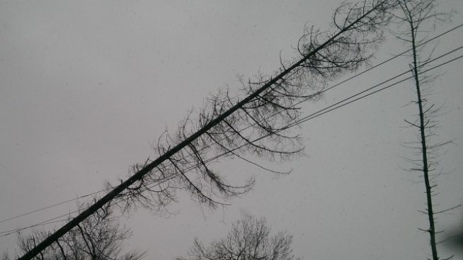 Електроразпределителните дружества са изправени пред нови предизвикателства