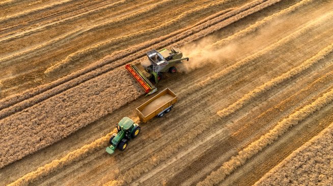 Цените на зърното остават стабилни през последната седмица на годината