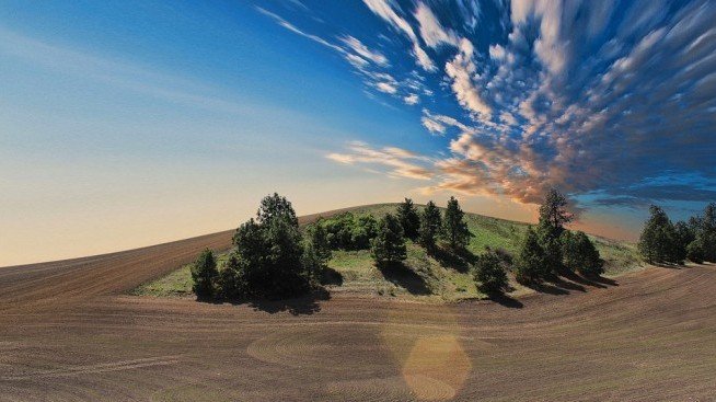 Догодина ще има прием по 11 мерки от ПРСР с бюджет близо 114 млн. евро