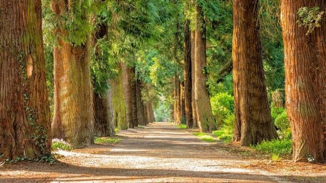 Ремонтът на Западния парк се очаква да струва малко над 10 млн. лв.