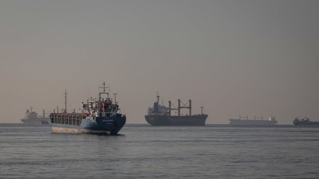 Русия изрази съмнения за удължаването на зърненото споразумение