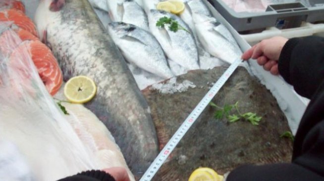 Иззеха два тона бракониерска риба преди Никулден