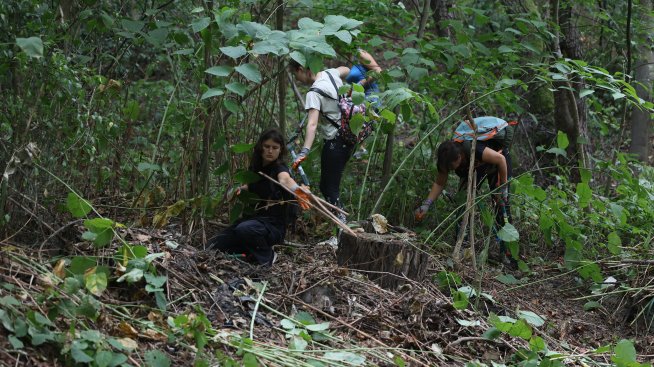 Кадър на деня за 19 август