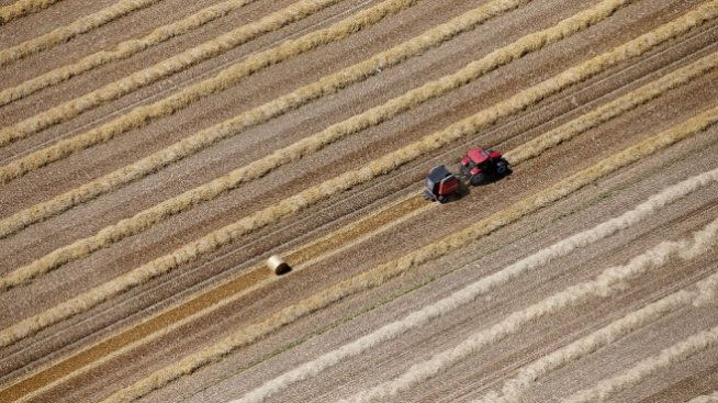 Източна и Западна Европа в сблъсък за ограниченията на земеделските субсидии