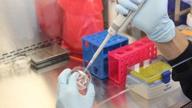 В персонализираната медицина ще ползваме данните и експертизите в ЕС