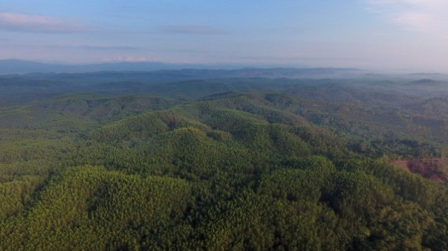 Инвеститорите могат да помогнат за спасяване ресурсите на планетата