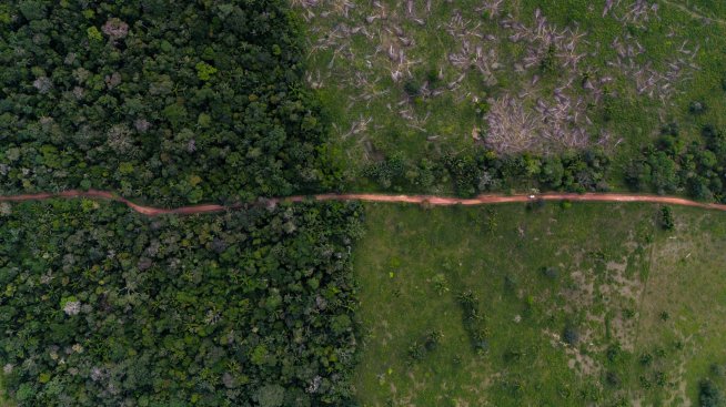 Природата има нужда от пари