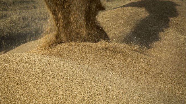 Цените на основните зърнени стоки не отбелязват съществени промени на пазарите