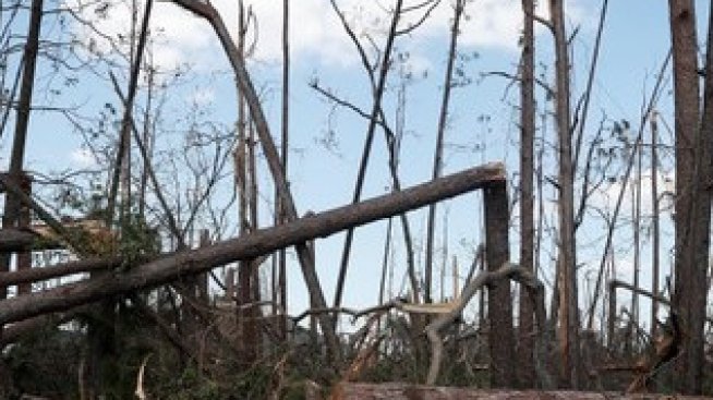 Графика на деня: Икономическите загуби от природни бедствия