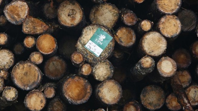Топлите зими са заплаха за богатата дърводобивна скандинавска индустрия