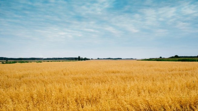 Инвестициите в земеделска земя се разрастват  