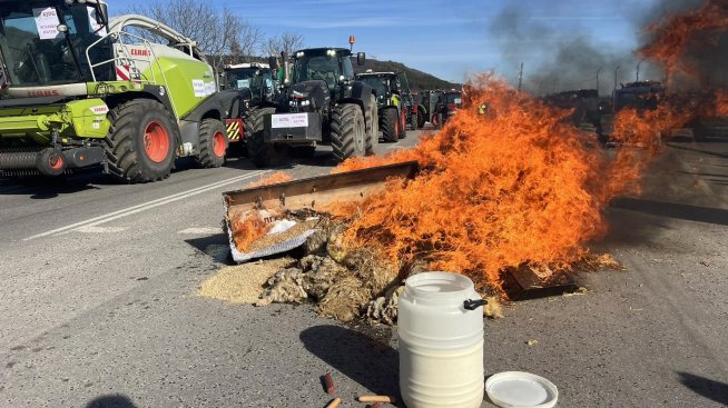 Зърнопроизводител: Разделението в земеделския сектор е още от 2010 г.